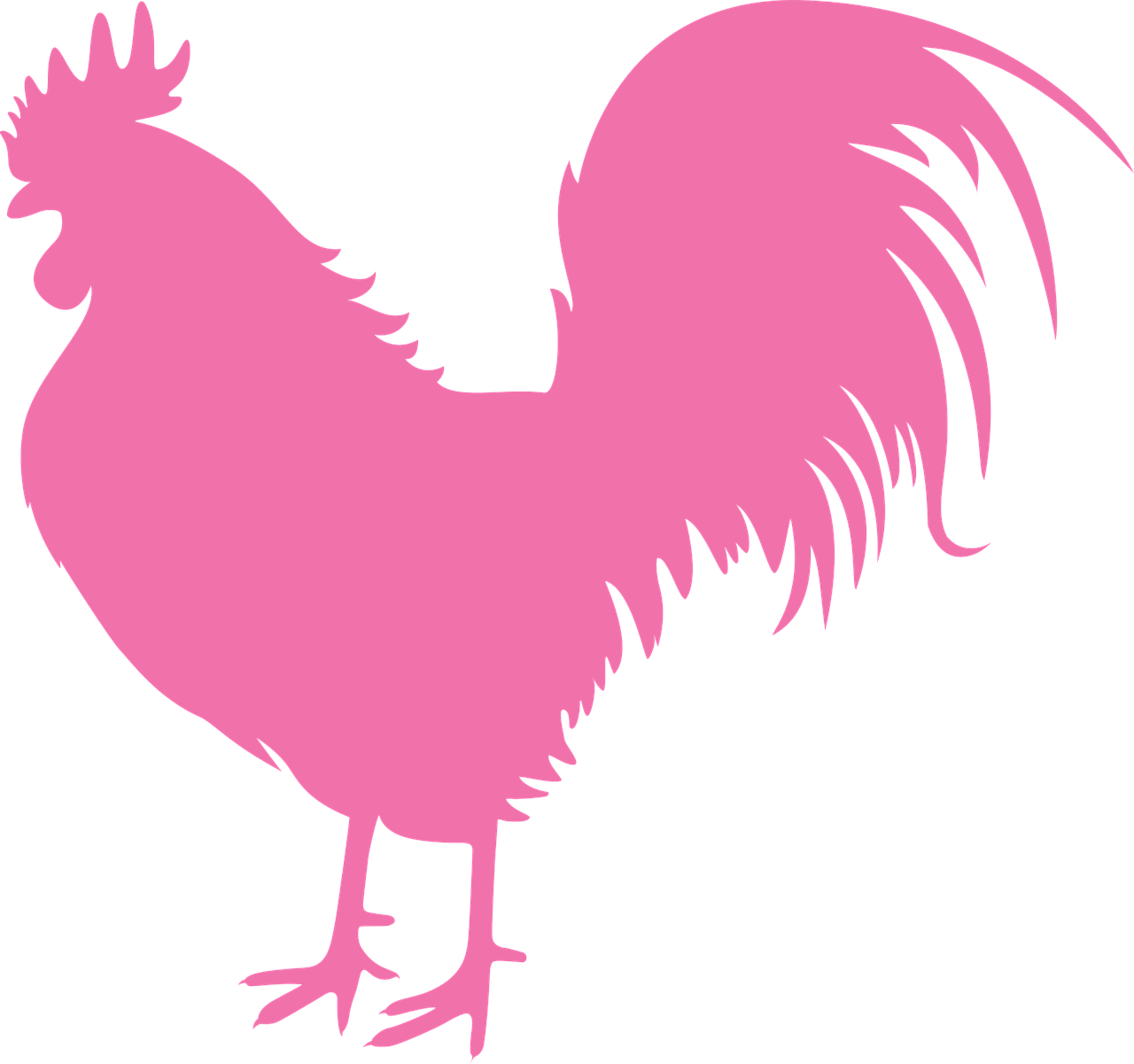 a pink rooster on a black background, silhouetted, pink background, skinny, barnet