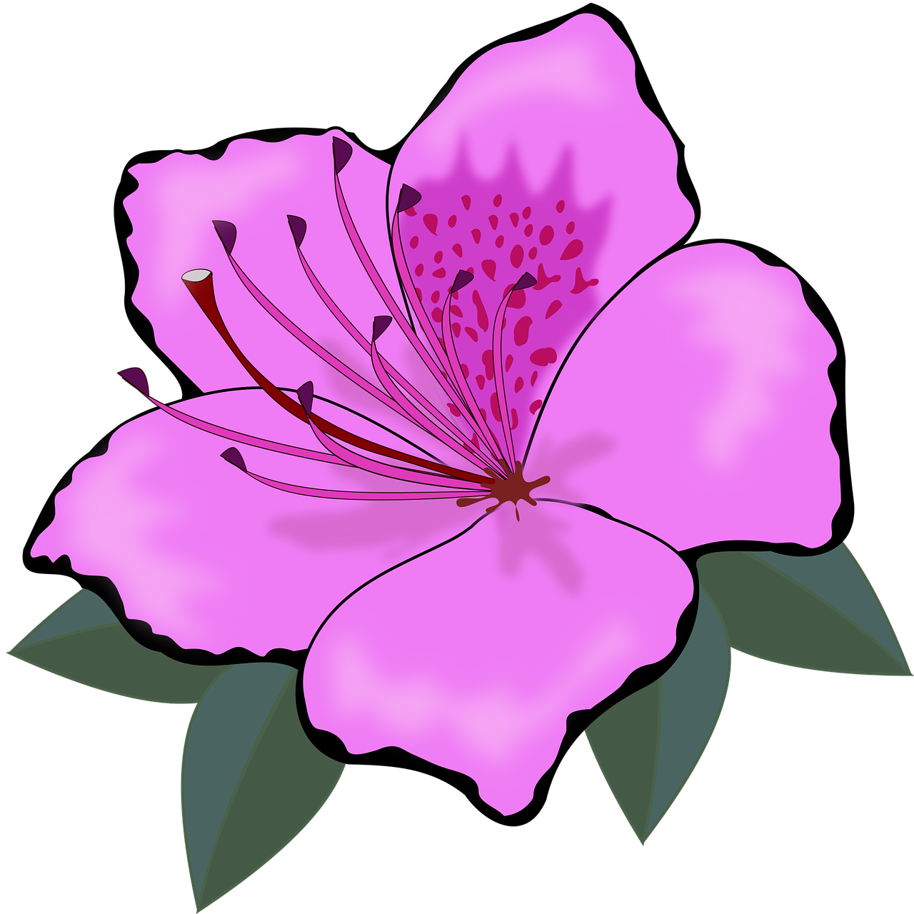 a pink flower with green leaves on a black background, by Ramón Silva, pixabay, sōsaku hanga, very flat shading, lavender blush, hibiscus, almond blossom