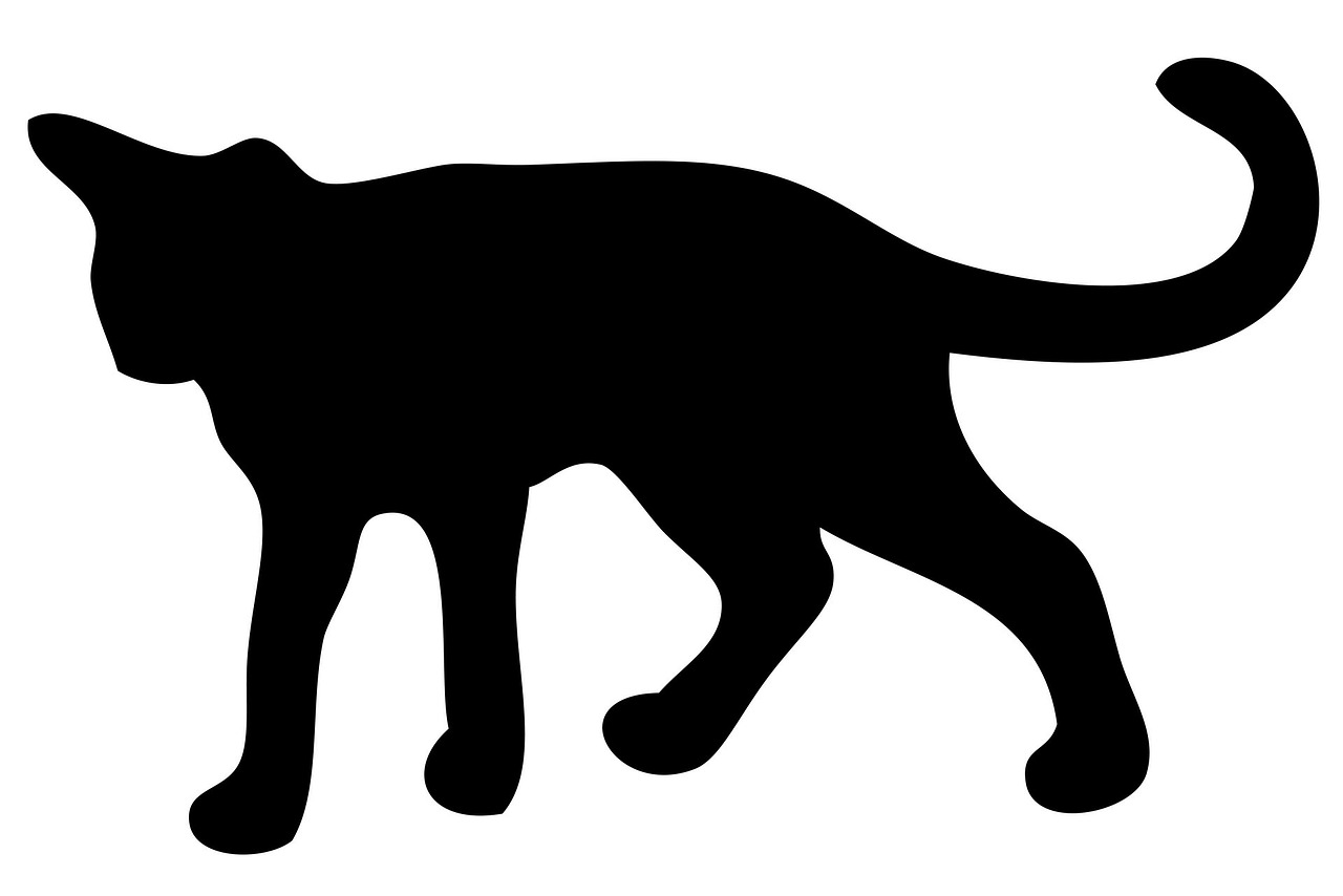 a black cat silhouetted on a white background, vector art, trending on pixabay, the smooth black jaguar, smilodon, 3840x2160, : :