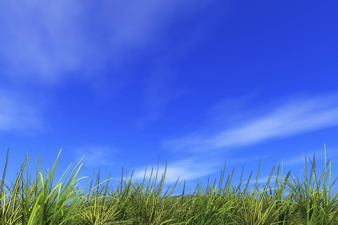 a field of grass with a blue sky in the background, a digital rendering, digital art, vertical wallpaper, high definition 3 d render, high definition screenshot, high quality screenshot