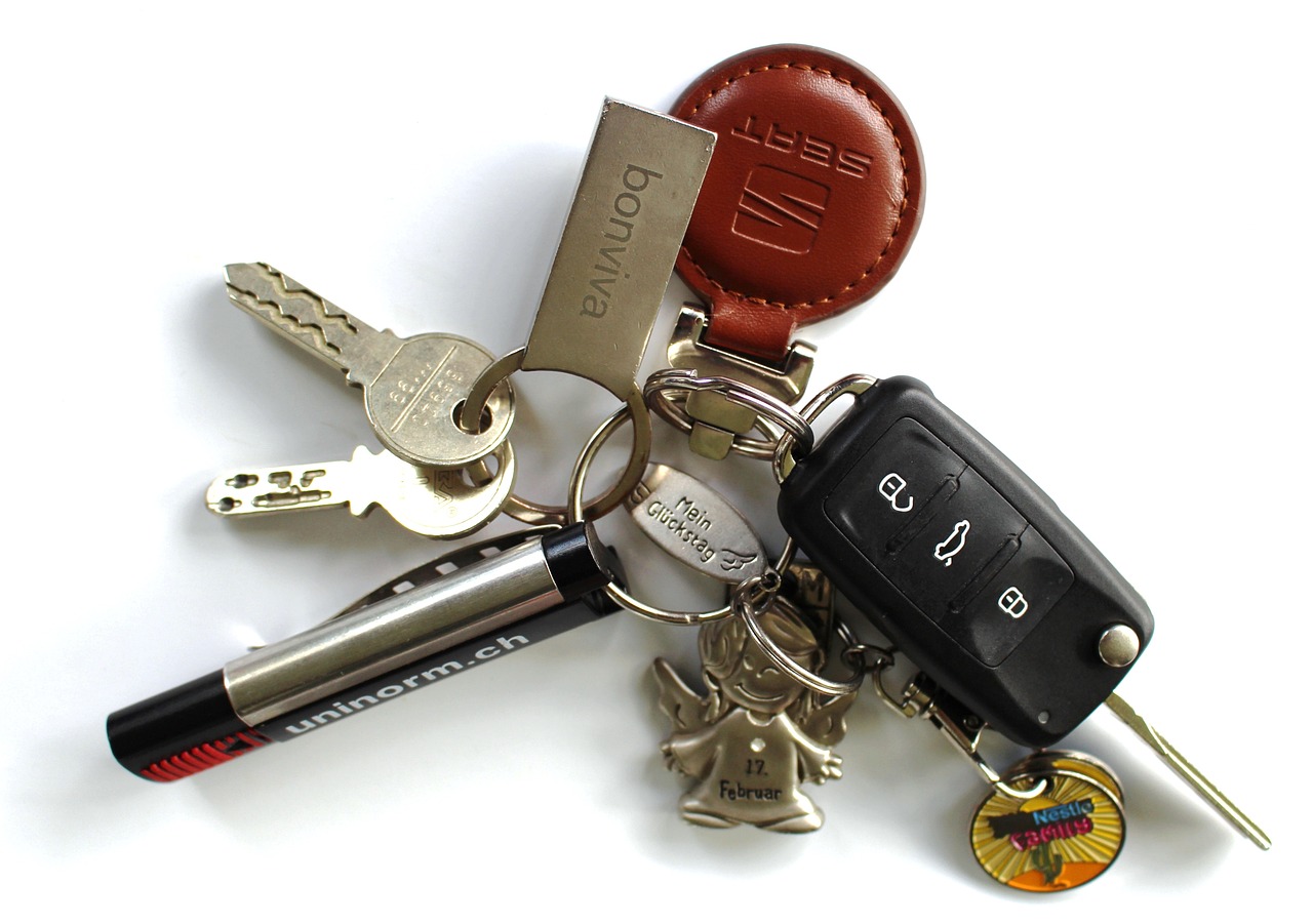 a bunch of keys laying on top of each other, a picture, by Andrei Kolkoutine, daily carry, car, small, official product photo