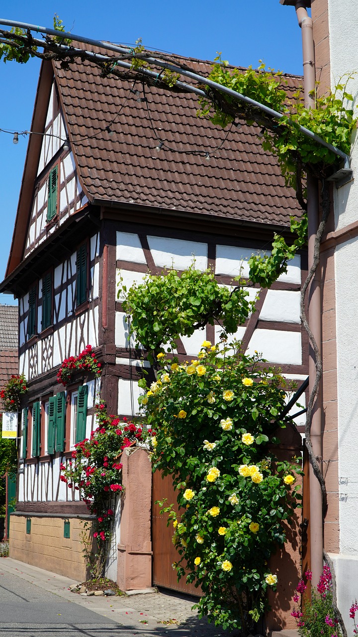 a house with flowers growing on the side of it, by Karl Gerstner, sigma 24mm f8, july 2 0 1 1, tudor, rose