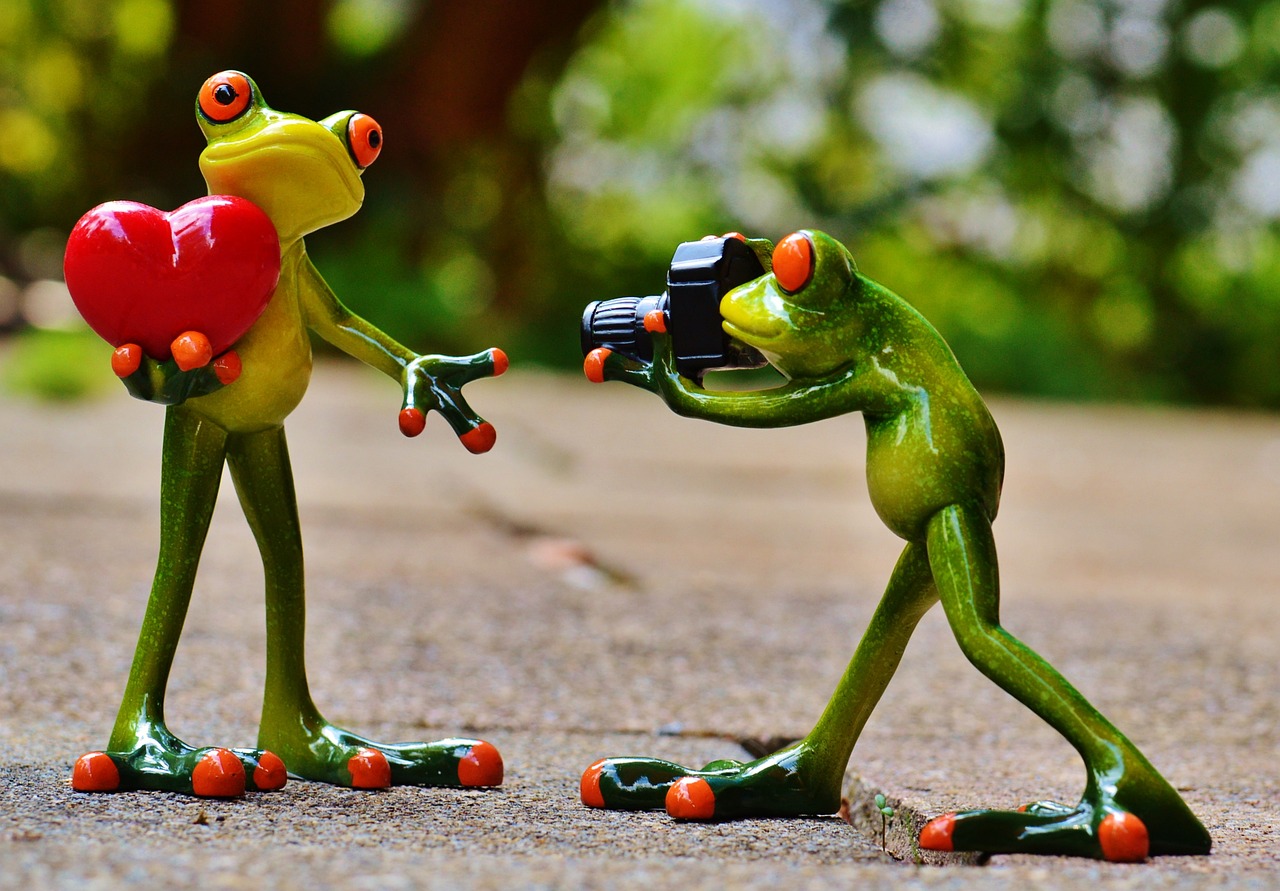 a figurine of a frog taking a picture of another frog, a picture, by Zoran Mušič, pexels, funny cartoonish, in love, battle action shot, mexican standoff