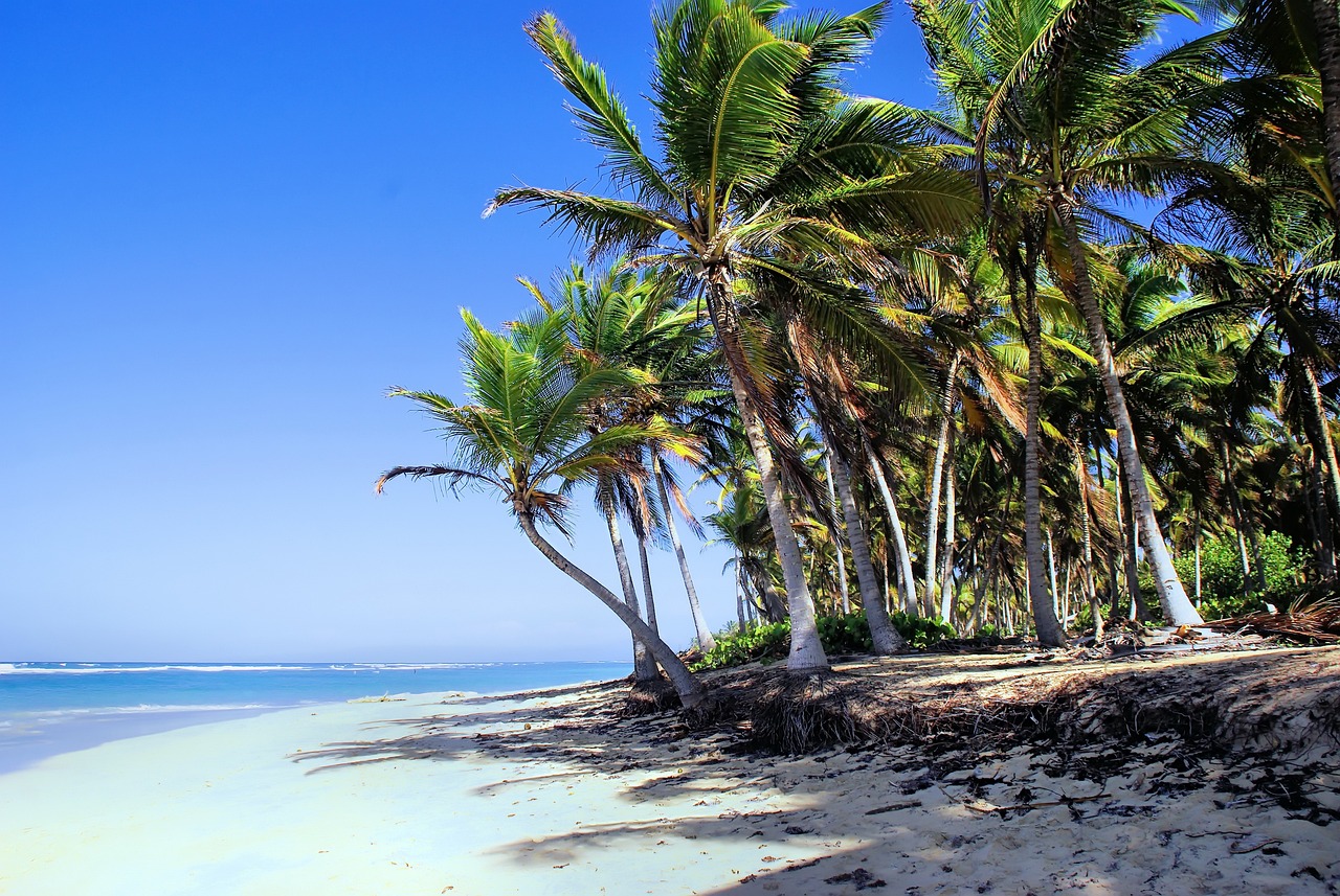 a beach filled with lots of palm trees next to the ocean, a photo, by Richard Carline, white beaches, afar, thomas kinkaide, blue waters