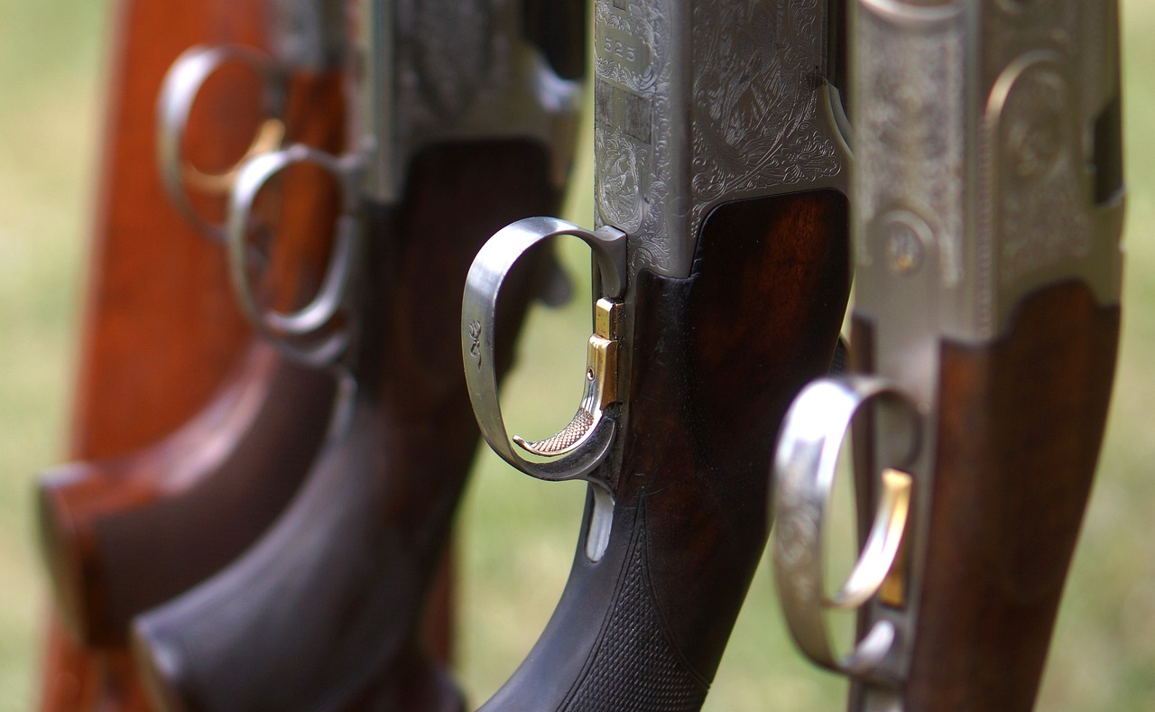 a bunch of guns that are next to each other, precisionism, tack sharp focus, aged 2 5, local close up, shiny silver