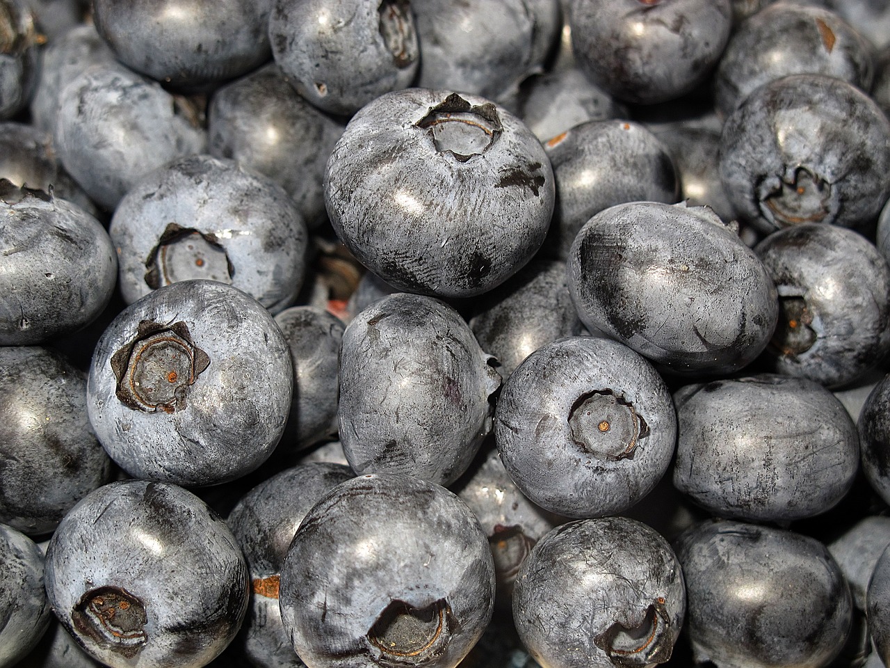 a close up of a bunch of blueberries, a photo, by Johannes Martini, photorealism, photorealism. trending on flickr, grey vegetables, grain”