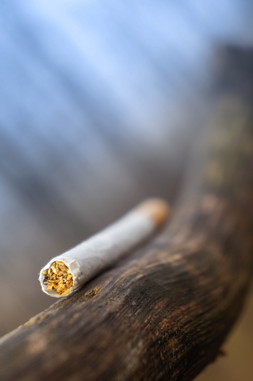 a cigarette sitting on top of a wooden stick, shutterstock, bokeh in the background only, modern high sharpness photo