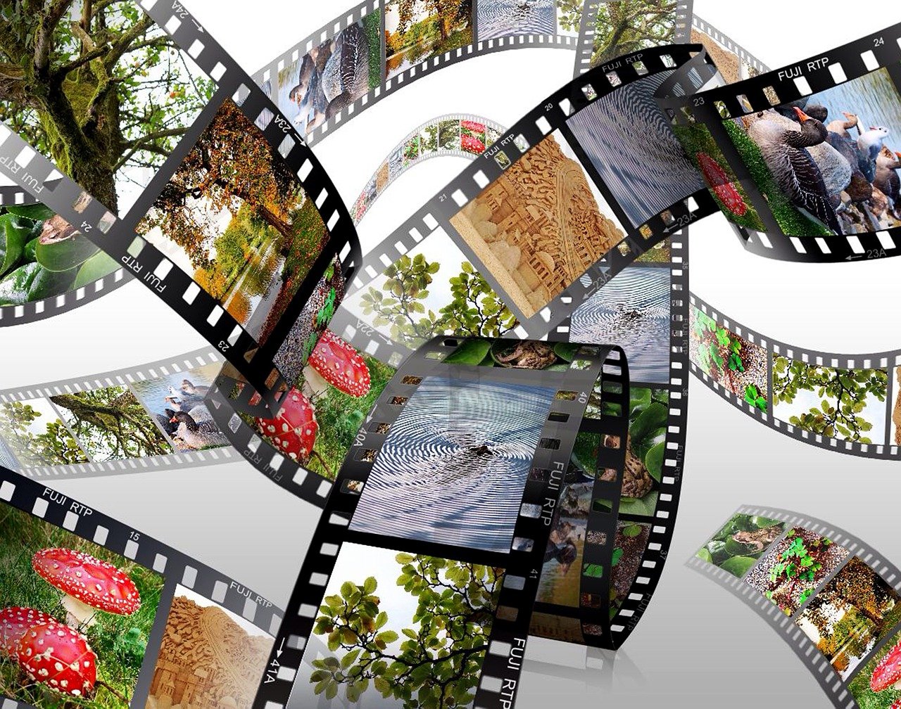 a close up of a film strip with pictures on it, inspired by Vladimír Vašíček, pixabay, video art, swirling scene in forest, museum quality photo, stock photo, advertising photo