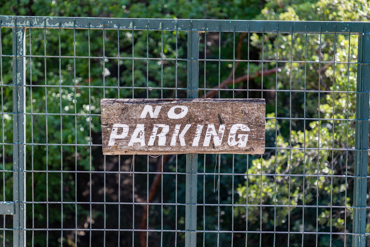 a no parking sign in front of a gate, a portrait, by Michael Goldberg, shutterstock, bark, taken in zoo, wooden, intense fantasy