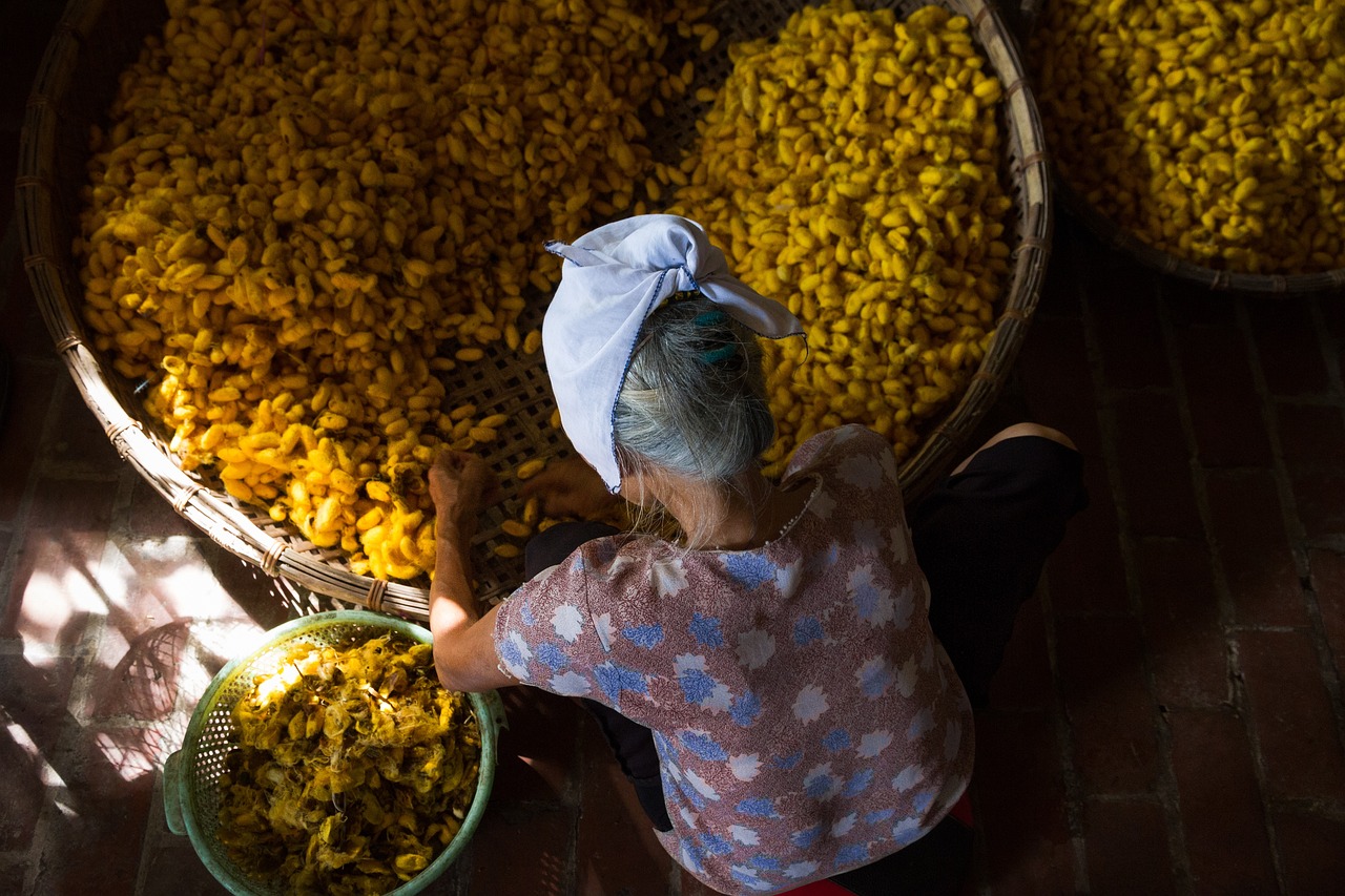 a woman sitting in front of baskets of bananas, by Sam Dillemans, flickr, process art, yellow flowers, in a temple, working hard, plumeria