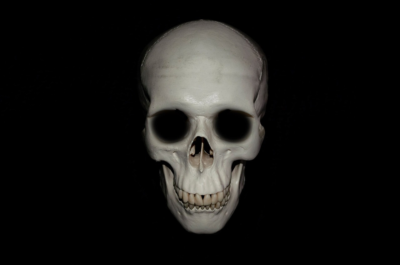 a close up of a skull on a black background, by Andrei Kolkoutine, pixabay, white prosthetic eyes, [ realistic photo ]!!, stock photo, evil dead face