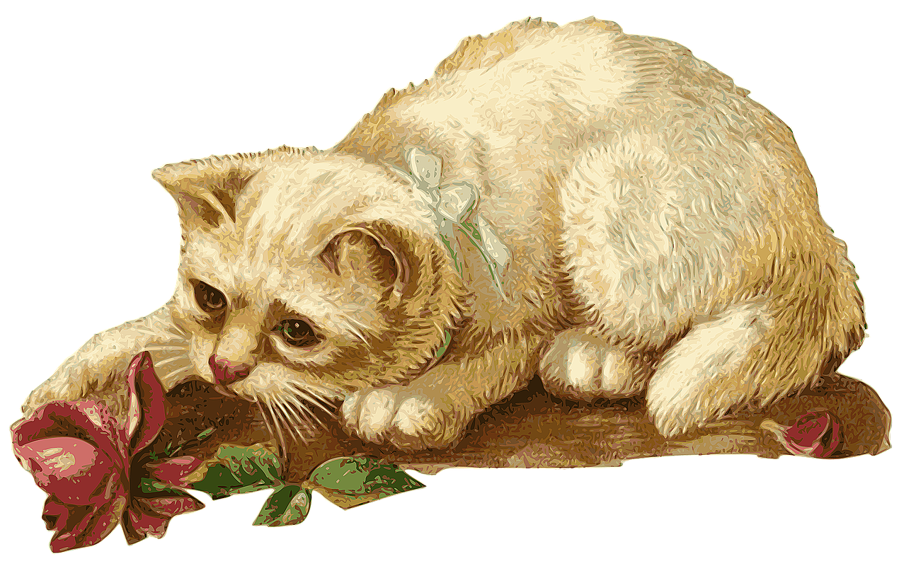 a cat laying down with a flower in its mouth, a digital rendering, shutterstock, art nouveau, victorian textiles, sad expression, ribbon, 1 7 0 0 s