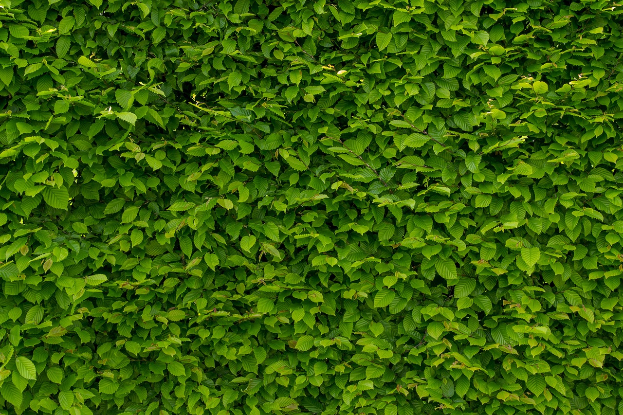 a red fire hydrant sitting in front of a lush green wall, by Richard Carline, hurufiyya, atlas tree leaf texture map, background lush vegetation, linden trees, textured like a carpet