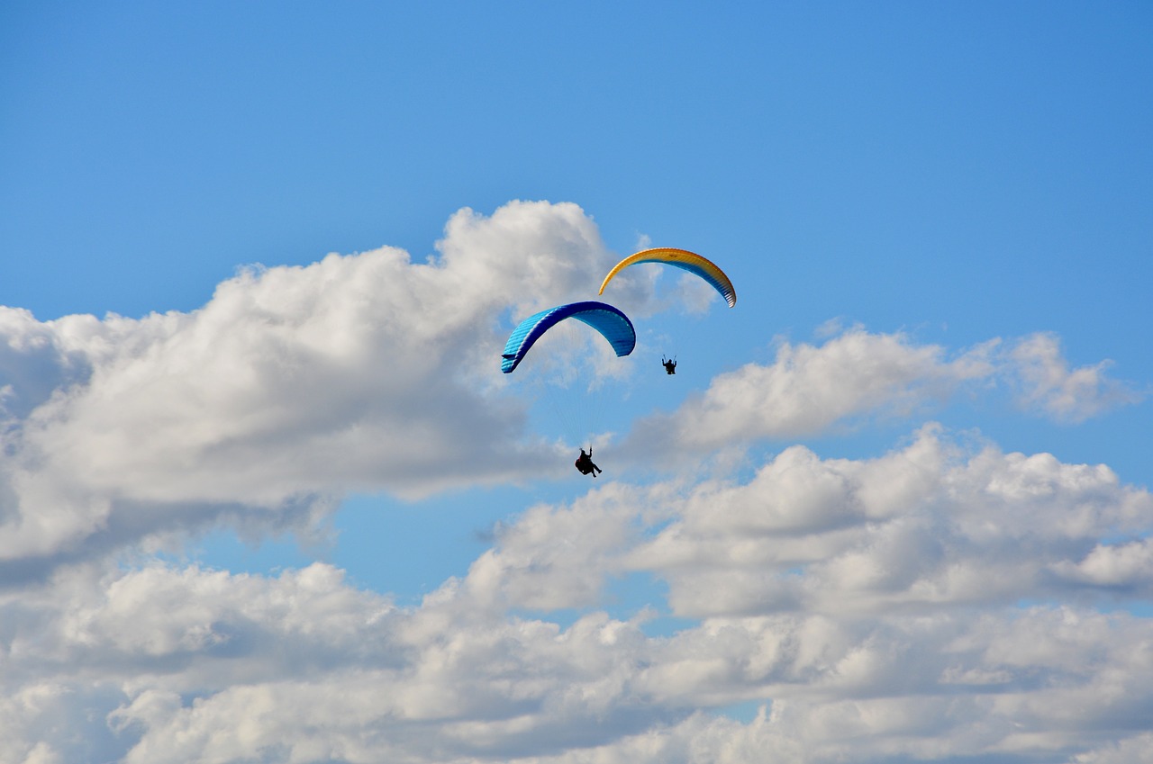 a couple of people that are flying in the sky, a picture, colorado, usa-sep 20, vacation photo, blue and yellow fauna