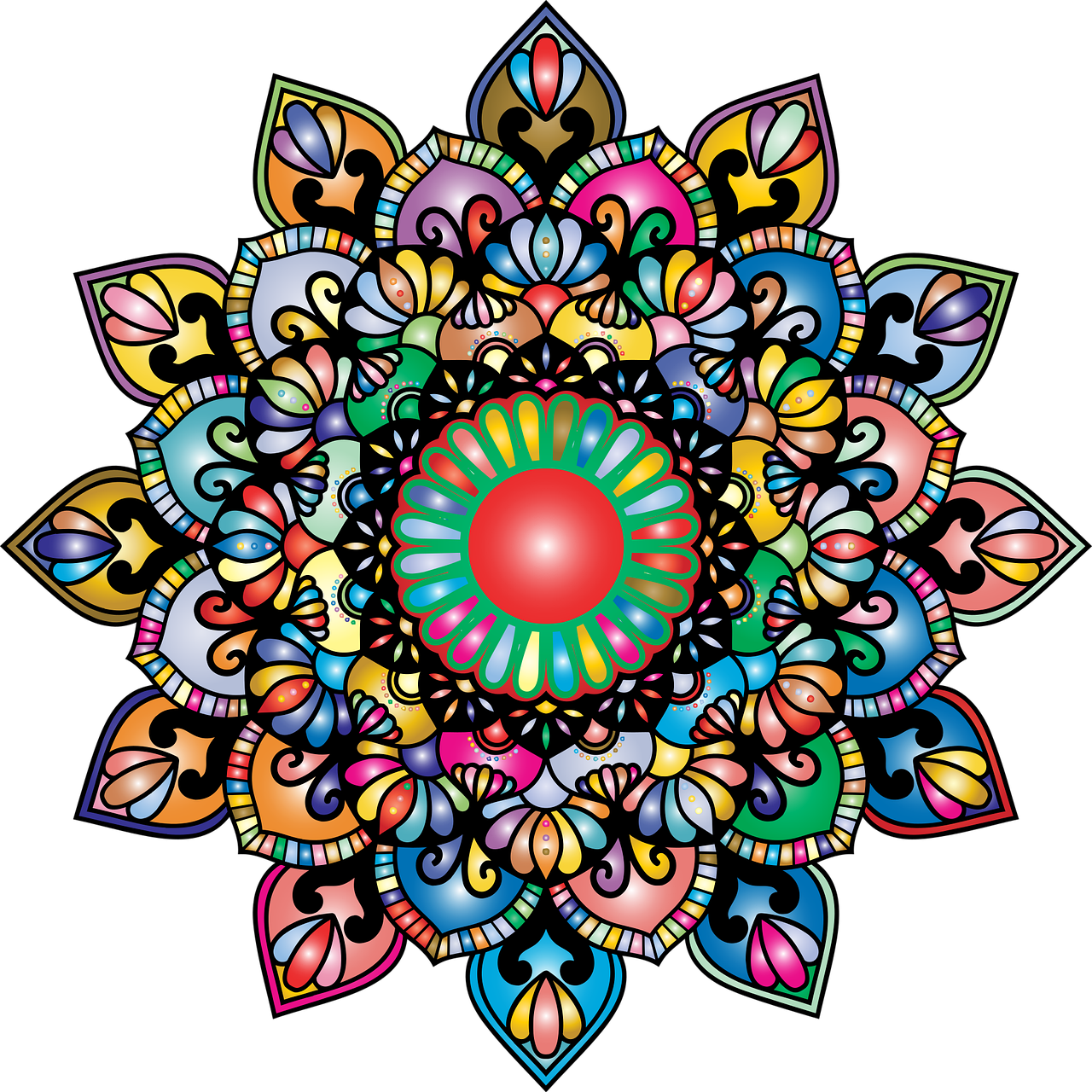 a colorful flower on a black background, vector art, inspired by Adolf Wölfli, color wheel, very detailed and colorful, illustrator vector graphics, shambala