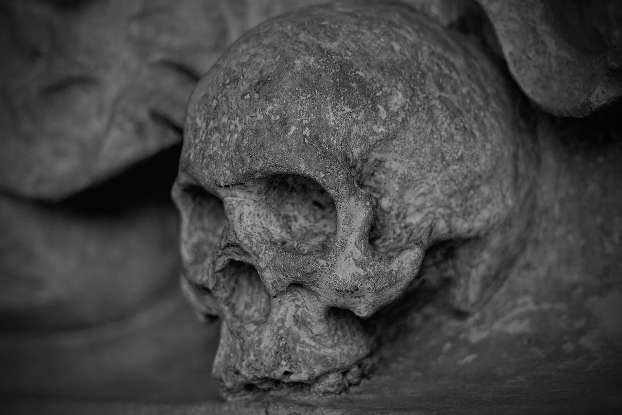 a black and white photo of a skull, by Alexander Fedosav, pexels contest winner, roman nose, 4k detail, ossuary, low iso