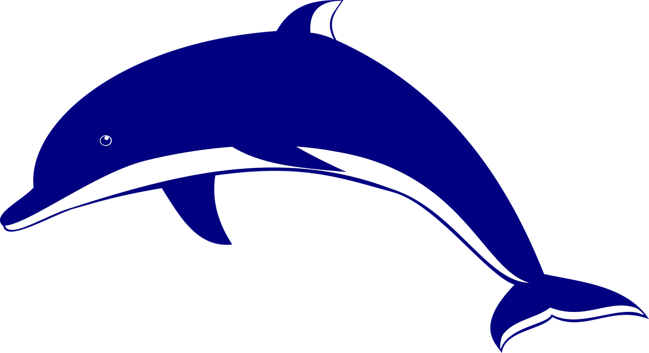 a blue dolphin jumping out of the water, inspired by Masamitsu Ōta, hurufiyya, style of mirror\'s edge, snail in the style of nfl logo, [[fantasy]], full device