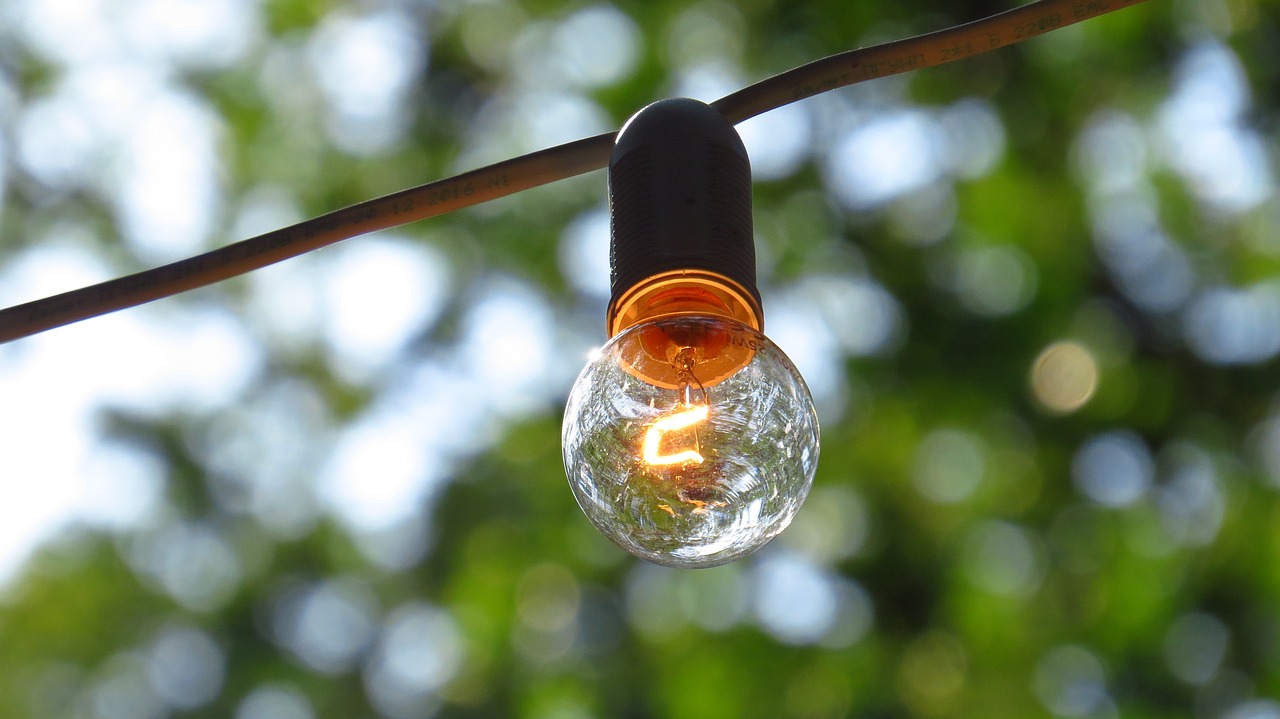 a light bulb hanging from a wire with trees in the background, realism, outdoor photo, shaded lighting, party lights, marketing photo
