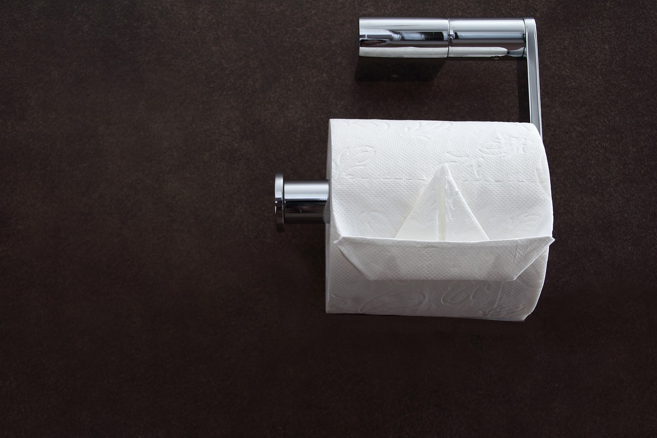 a roll of toilet paper sitting on top of a toilet paper dispenser, a stock photo, by Julian Allen, shutterstock, bauhaus, paper origami, top - down photo, high details photo, hotei is on the table