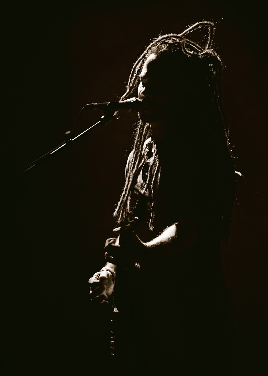 dread dread dread dread dread dread dread dread dread dread dread dread dread dread dread dread dread dread, a portrait, by Ottó Baditz, tumblr, live concert photography, black silhouette, singer - songwriter, soft light from the side