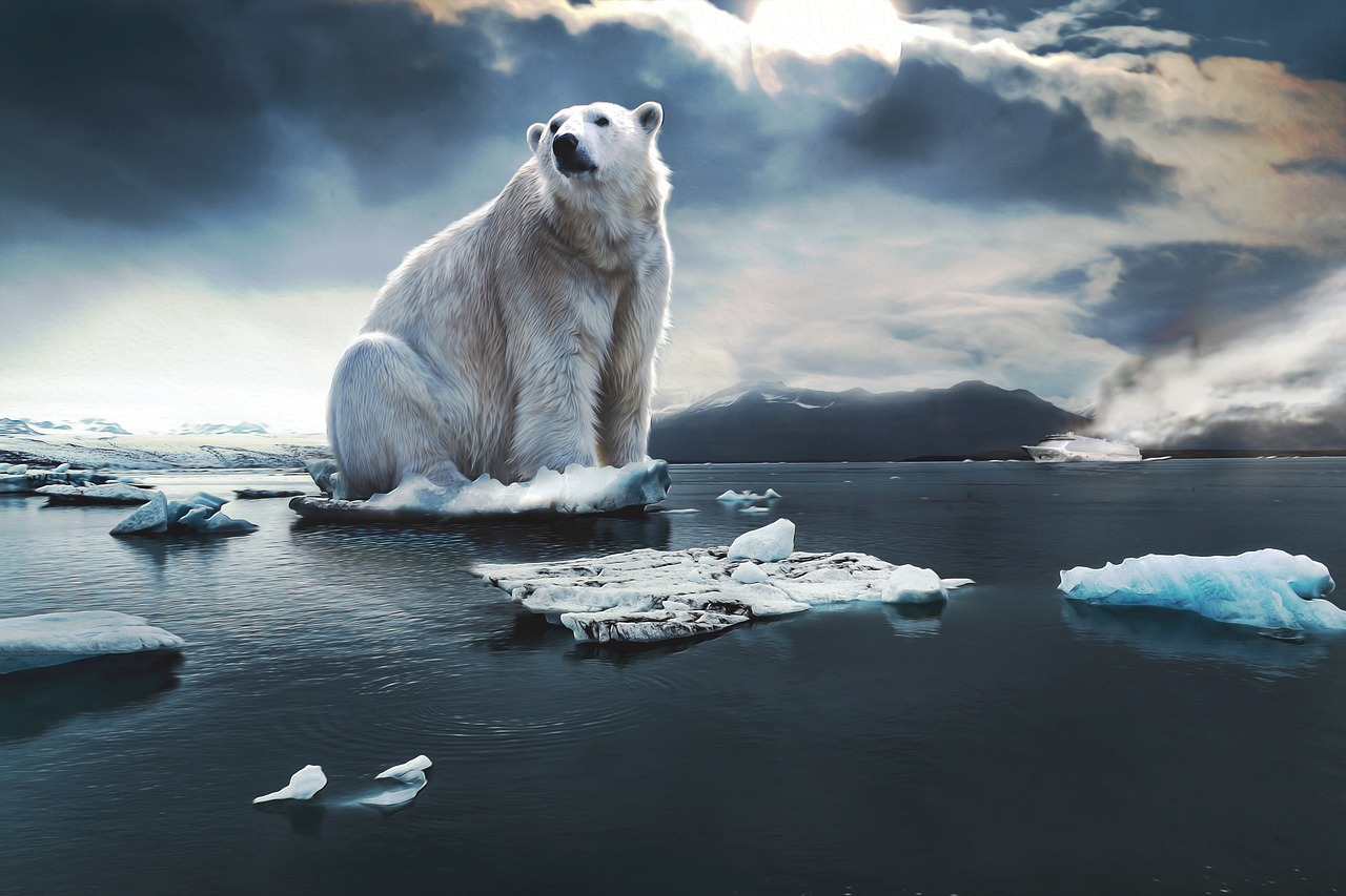 a polar bear sitting on top of an iceberg, a digital rendering, shutterstock, romanticism, looking sad, photobashing, marketing photo, global warming