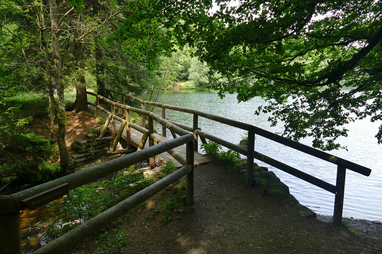 a wooden bridge over a body of water, by Karl Völker, les nabis, small fence, forest with lake, serpentine curve!!!, ny