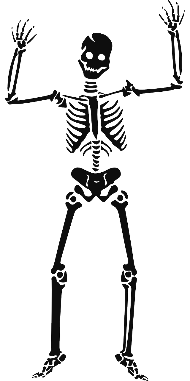 a black and white drawing of a skeleton, vector art, by Muirhead Bone, pixabay, black stencil, full - length photo, sassy pose, necronomicon style