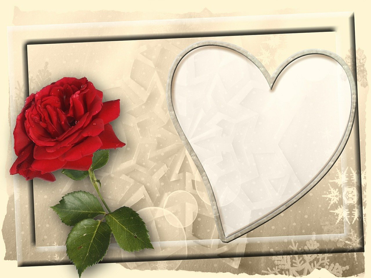 a red rose sitting next to a heart shaped frame, a picture, textured parchment background, mirror and glass surfaces, background image, 3d collage