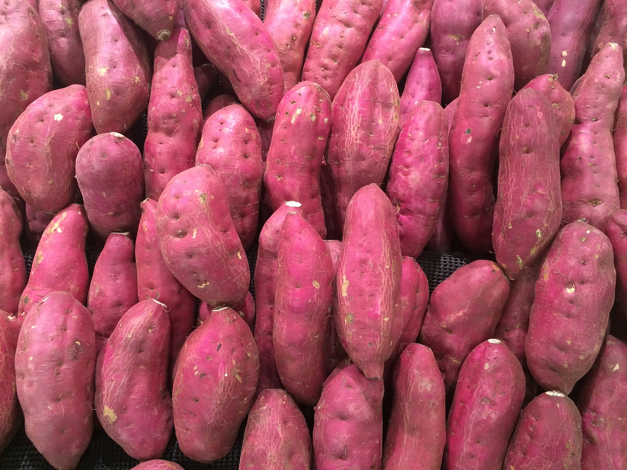 a pile of sweet potatoes sitting next to each other, sōsaku hanga, ((pink)), stunning beauty, peruvian, regular sized