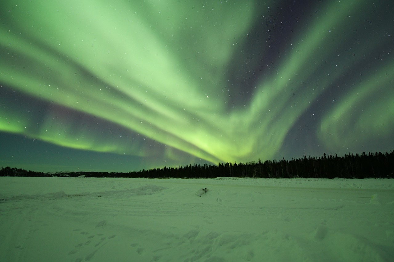 a green and purple aurora bore over a snow covered field, a photo, flickr, hurufiyya, boards of canada, gold green and purple colors”, afp, fur