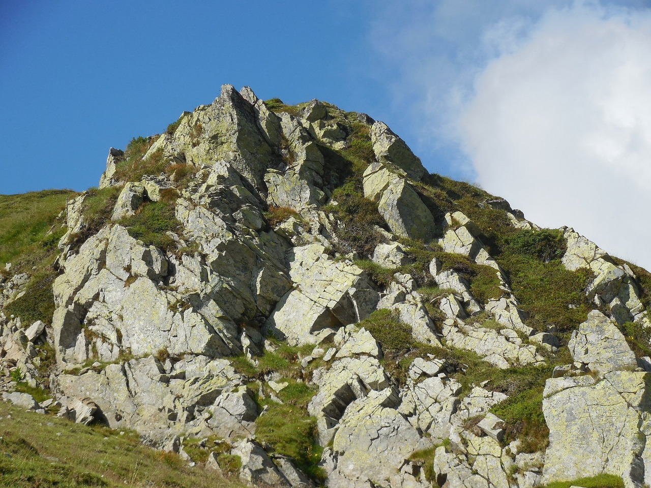 a group of sheep standing on top of a lush green hillside, a picture, by Wyke Bayliss, flickr, extremely detailed rocky crag, seen from below, granite, hoog detail