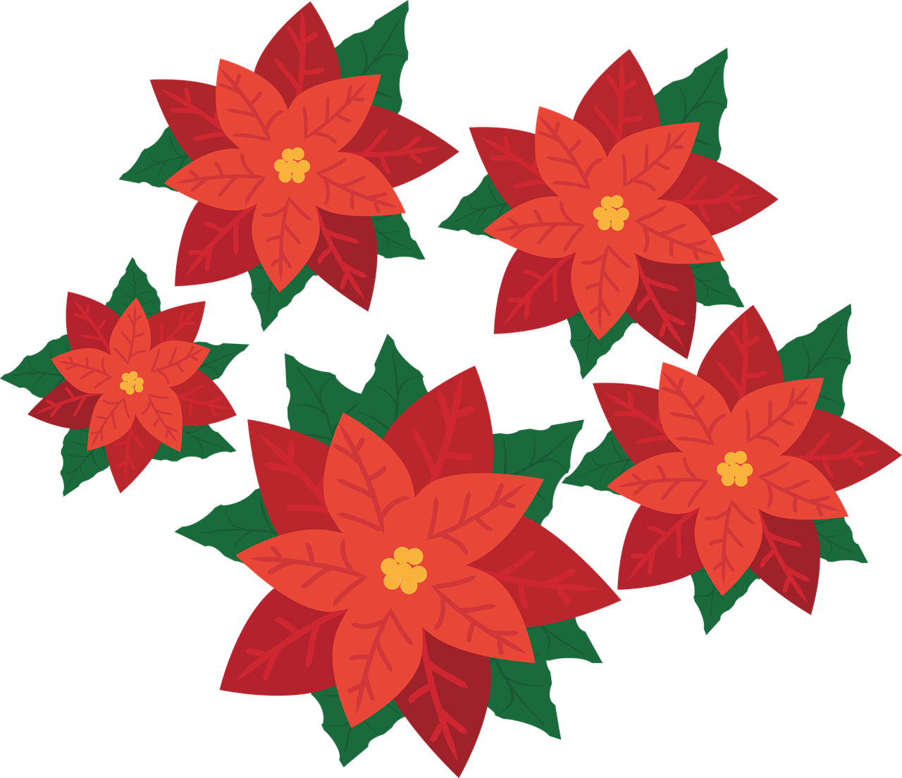 a bunch of red poinsettis with green leaves, an illustration of, inspired by Masamitsu Ōta, cutie mark, on black background, illustration:.4, cut-scene