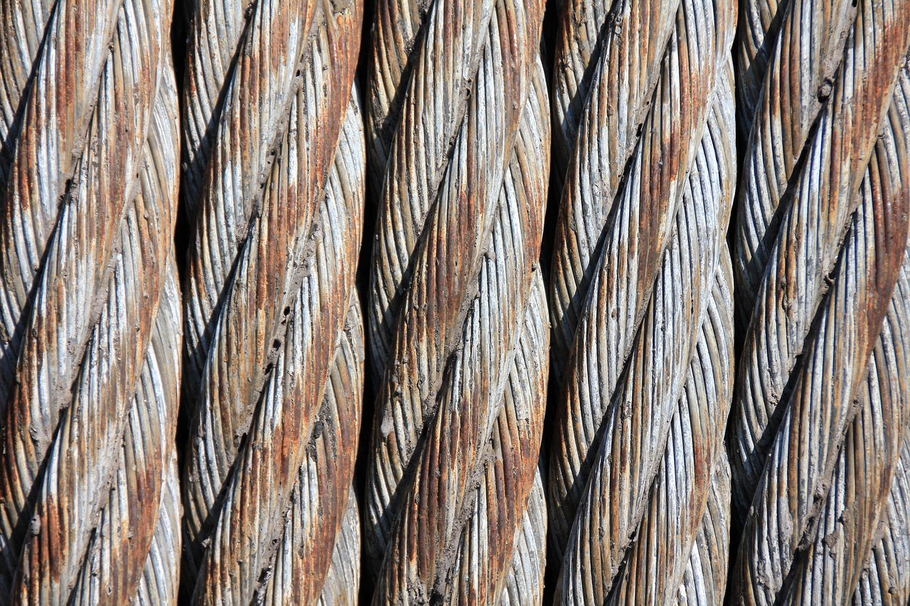 a close up view of a piece of wood, a stock photo, inspired by W. Lindsay Cable, tangles of metallic cables, high details photo