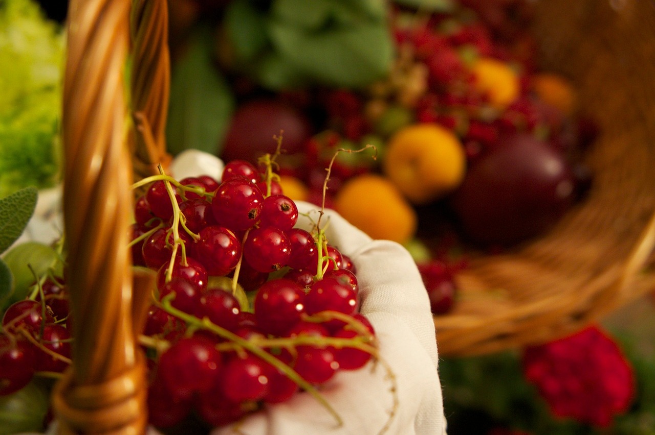 a close up of a person holding a basket of fruit, by Aleksander Gierymski, pexels, renaissance, submerged in cranberries, avatar image, linen, wallpaper - 1 0 2 4