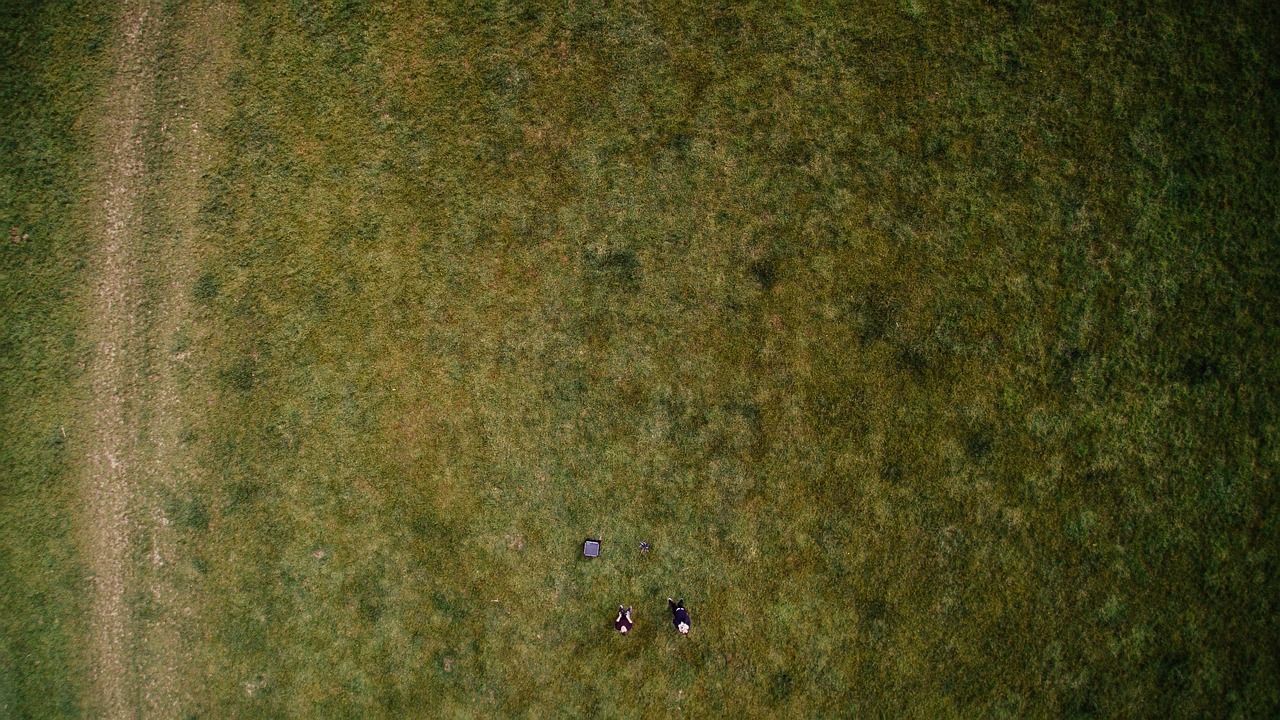 a couple of people standing on top of a lush green field, by Attila Meszlenyi, top down photo at 45 degrees, people resting on the grass, grass texture material, seattle