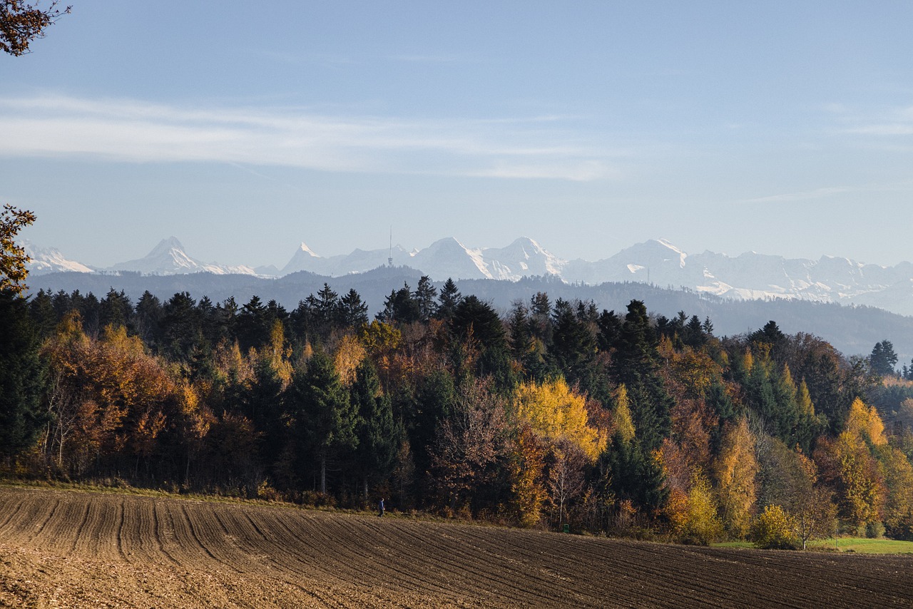 a plowed field with mountains in the background, by Hans Schwarz, flickr, figuration libre, autumn colours, forest on the horizont, snowy peaks, 7 0 mm photo