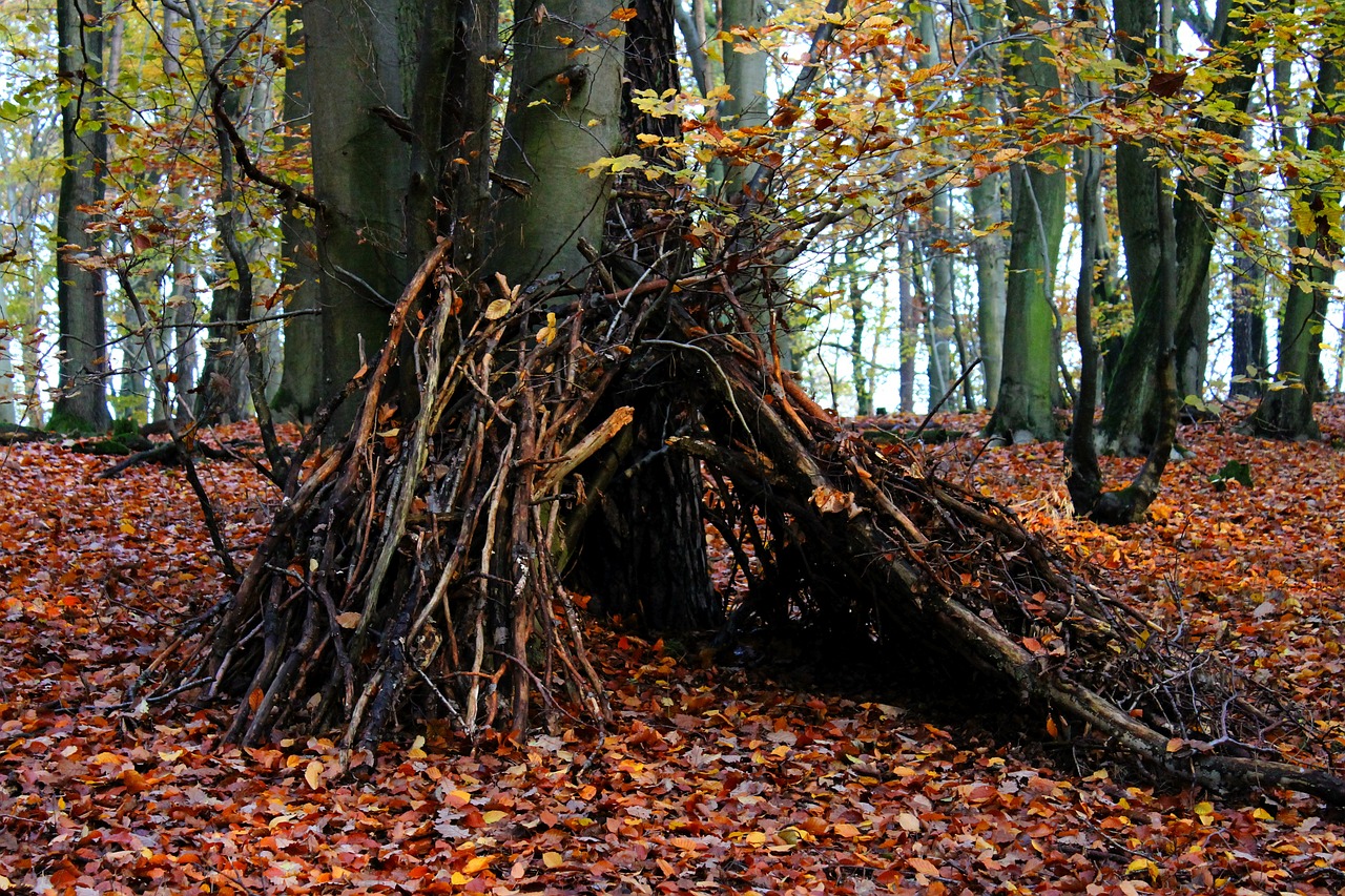 a pile of branches sitting in the middle of a forest, inspired by Andy Goldsworthy, land art, witch hut, autumn colours, teepee, maus in forest
