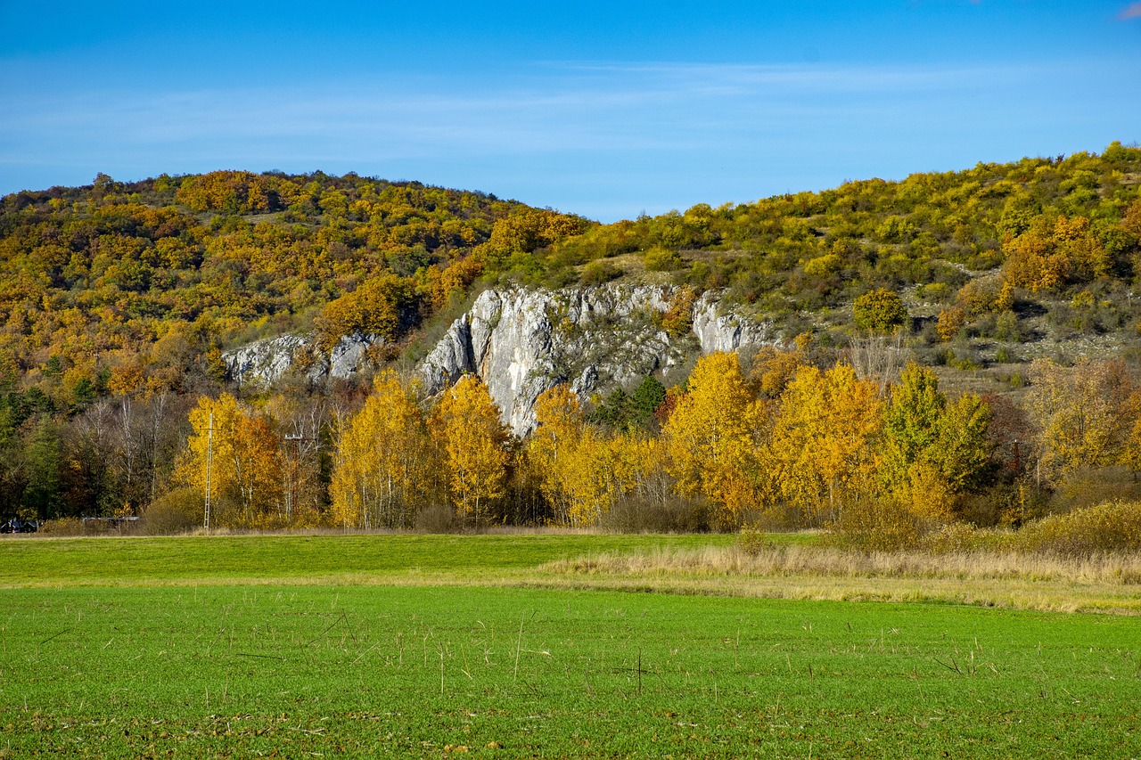 a green field with a mountain in the background, a photo, in the autumn forest, rock quarry location, slovakia, limestone