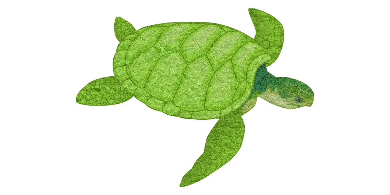 a close up of a green turtle on a black background, a digital rendering, inspired by Masamitsu Ōta, path traced, seams, with seaweed, wooden