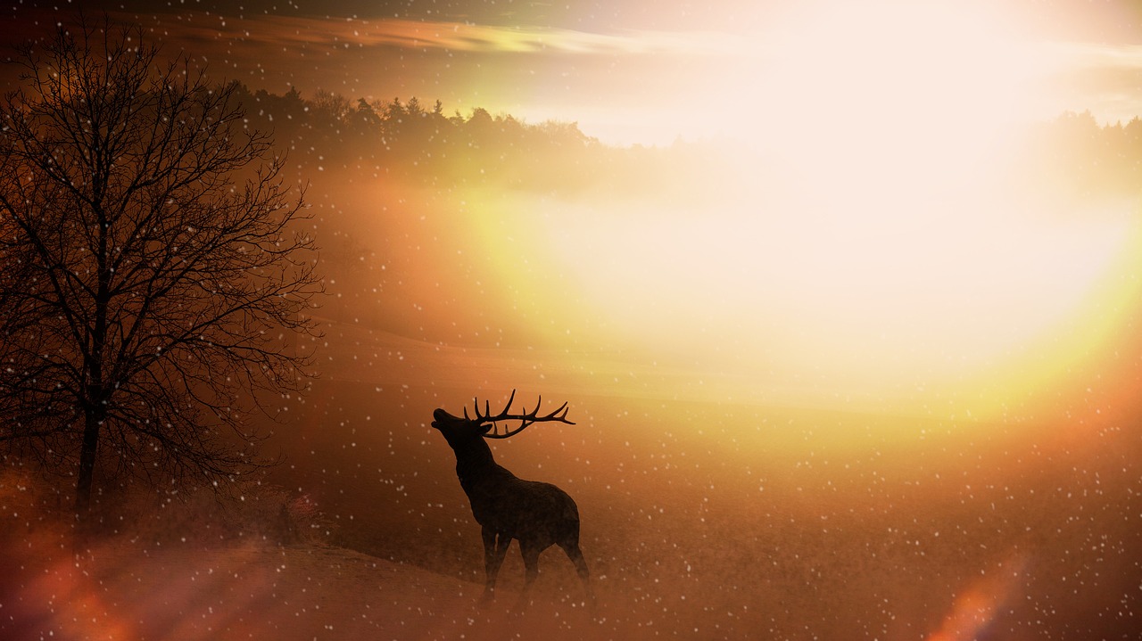 a deer that is standing in the snow, inspired by Rudolph F. Ingerle, pexels contest winner, romanticism, glowing colorful fog, in a golden sunset sky, photo - manipulation, elk