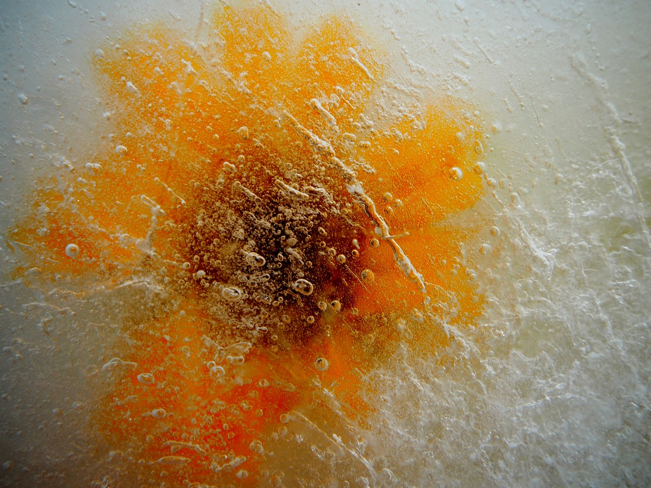 an orange flower is sprinkled with water, a microscopic photo, inspired by Helen Frankenthaler, flickr, process art, ice sunflowers, cai guo-qiang, cake, effervescent