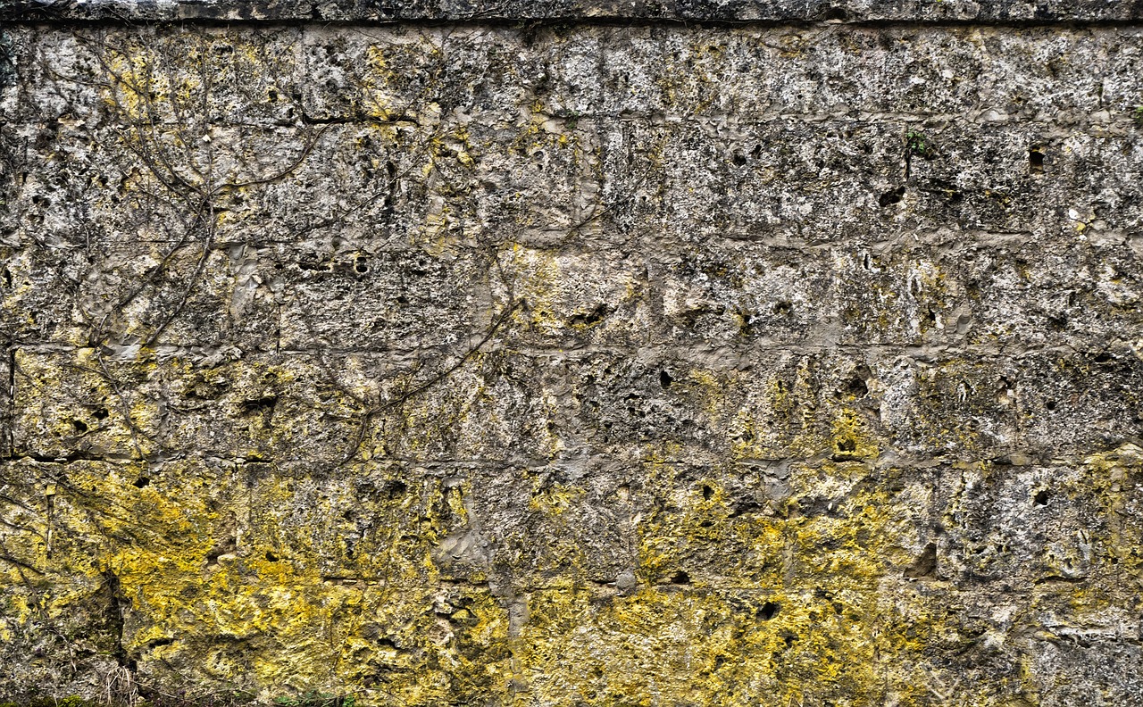 a yellow and black fire hydrant in front of a stone wall, by Hans Fischer, high texture detail, dirty old grey stone, detailed visible brushmarks, from italica