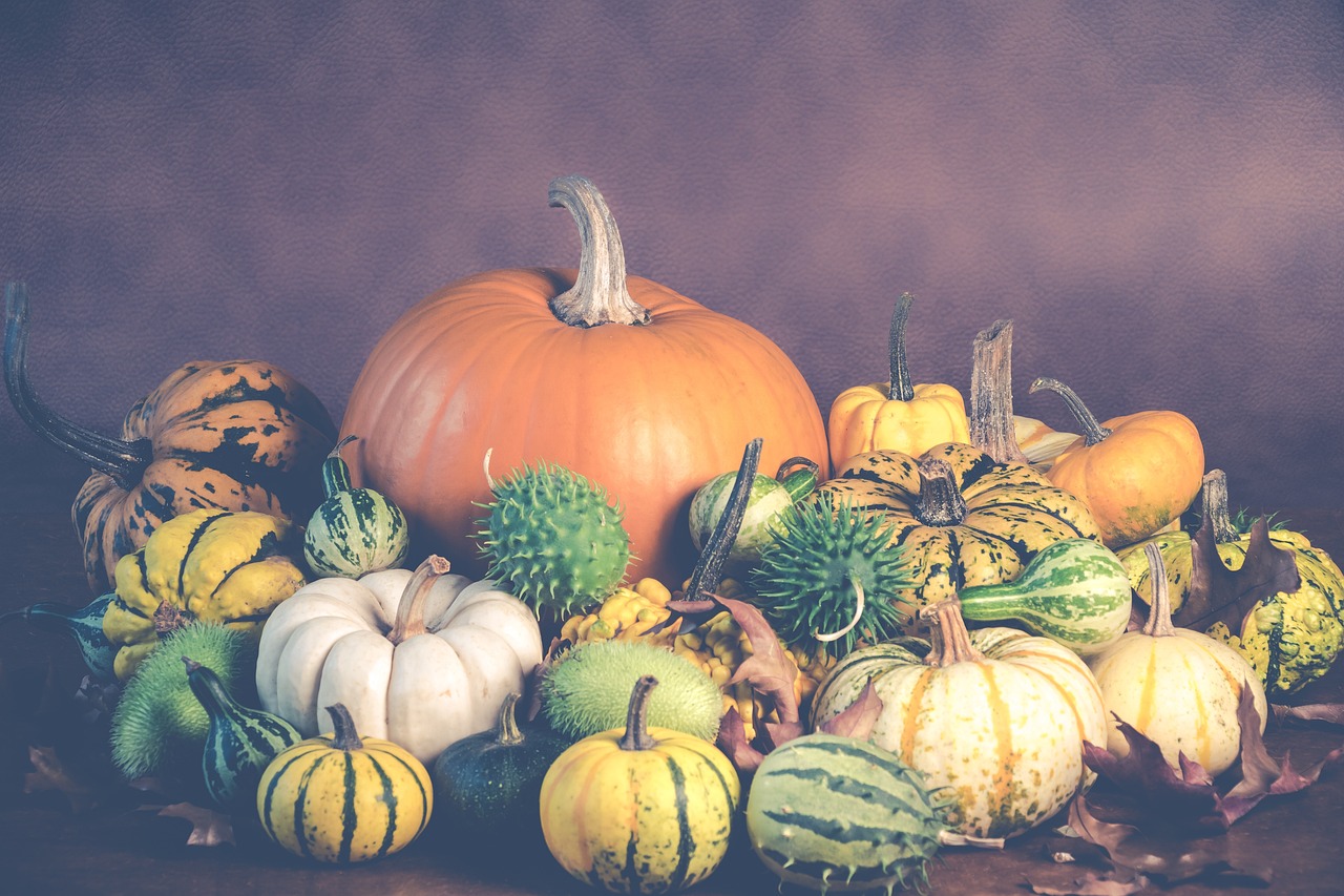 a pile of pumpkins and gourds on a table, a pastel, shutterstock, fine art, vintage colors, high quality product image”