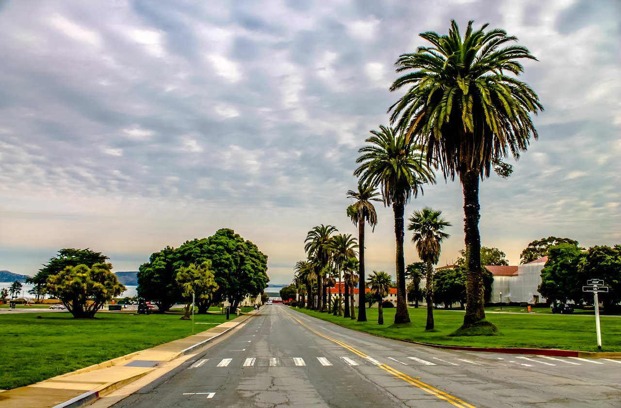 a street lined with palm trees next to a lush green field, a stock photo, by Dave Melvin, shutterstock, san francisco, on a cloudy day, college, 1 8 mm wide shot