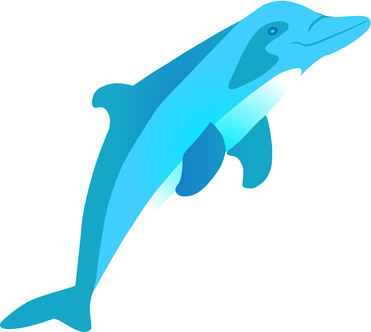 a dolphin jumping out of the water, an illustration of, hurufiyya, blue and cyan colors, looking from side and bottom!, front facing shot, blue colored