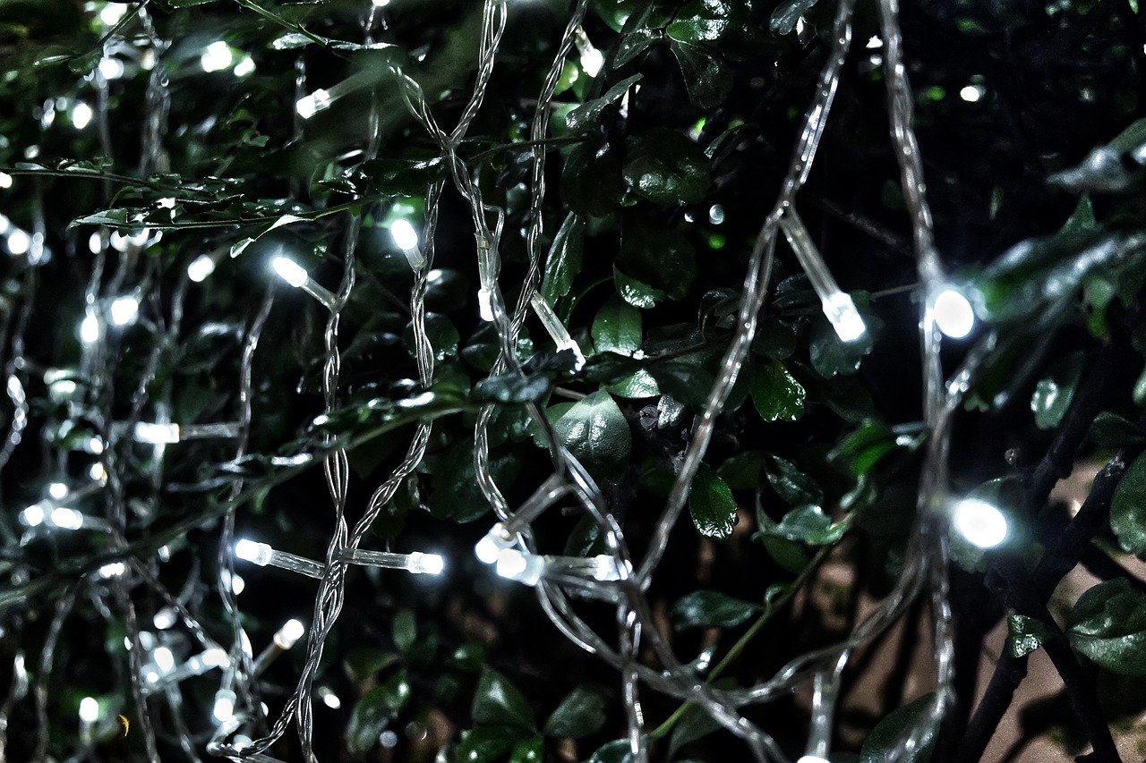 a bunch of lights that are hanging from a tree, a macro photograph, torn mesh, super detailed image, led light strips, entangled foliage