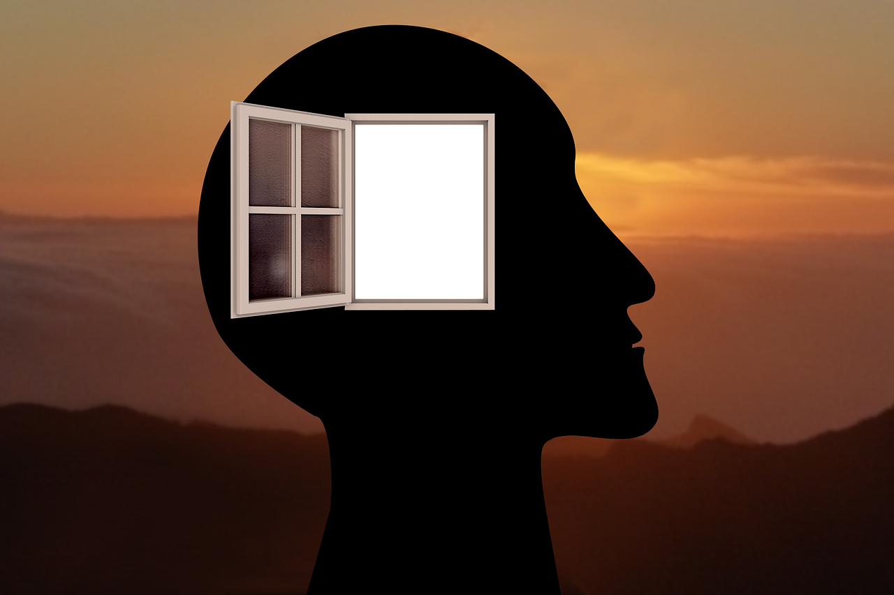 a silhouette of a person's head with a window open, inspired by Rene Magritte, pixabay contest winner, surrealism, warm sundown, nootropic stimulant, computer generated, thinking pose