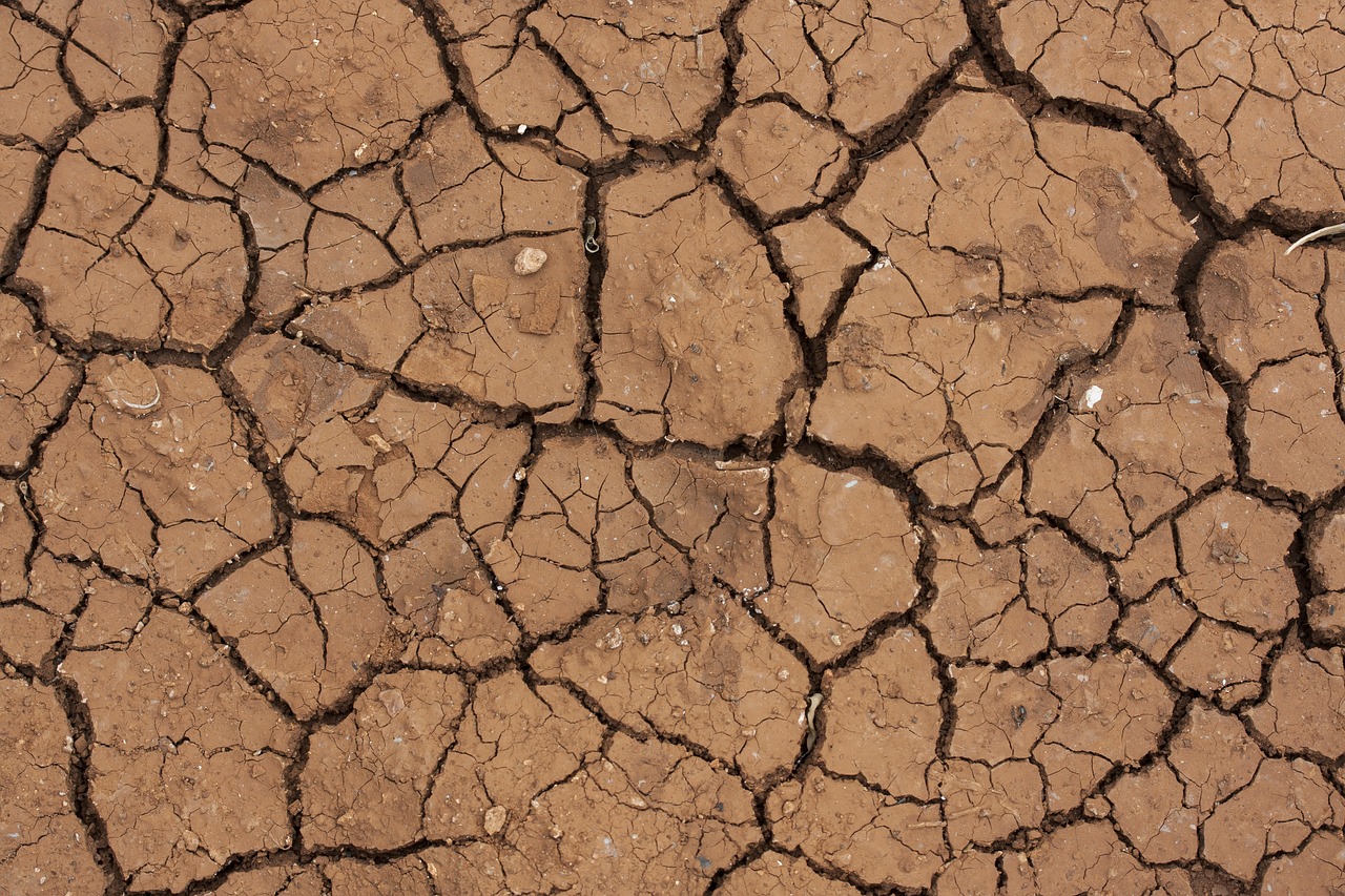 a close up of a crack in the ground, by Jacob de Heusch, tileable, brown background, desert wasteland, sweaty skin