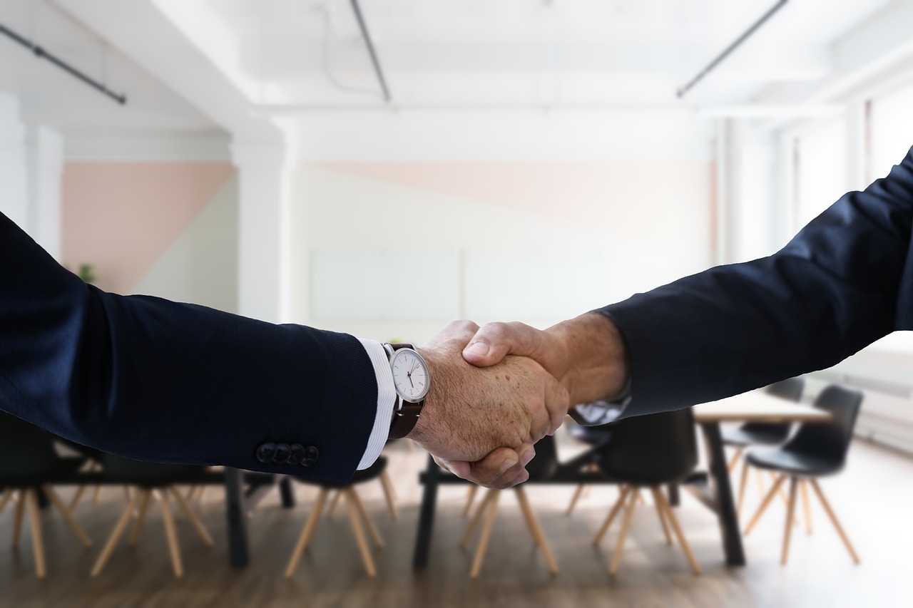 a close up of two people shaking hands, a picture, by Emma Andijewska, pexels, sitting across the room, business men, background image, a wide shot