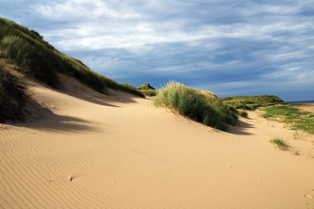 a sandy beach with grass and sand dunes, by Edward Corbett, flickr, midlands, ( visually stunning, istock, upwards